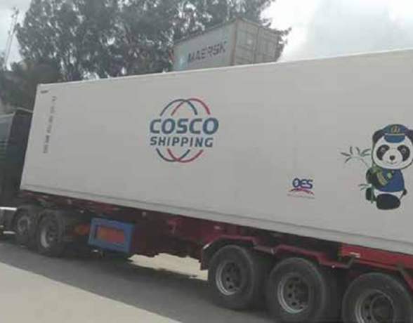 Our refrigerated cargo projects